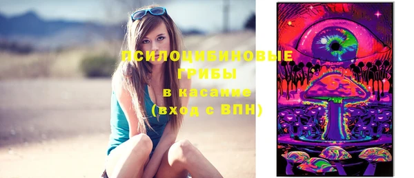 гашик Белоозёрский