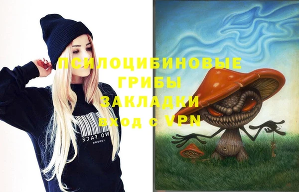 гашик Белоозёрский
