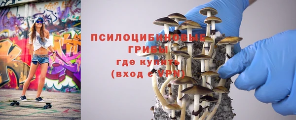 мдма Богданович